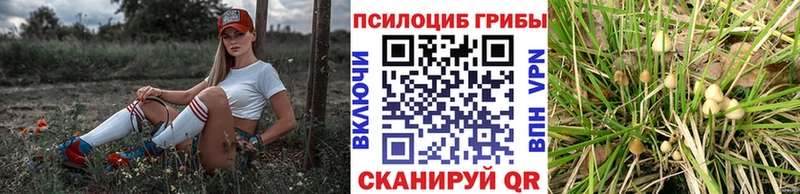 как найти наркотики  Балтийск  OMG как зайти  Псилоцибиновые грибы прущие грибы 